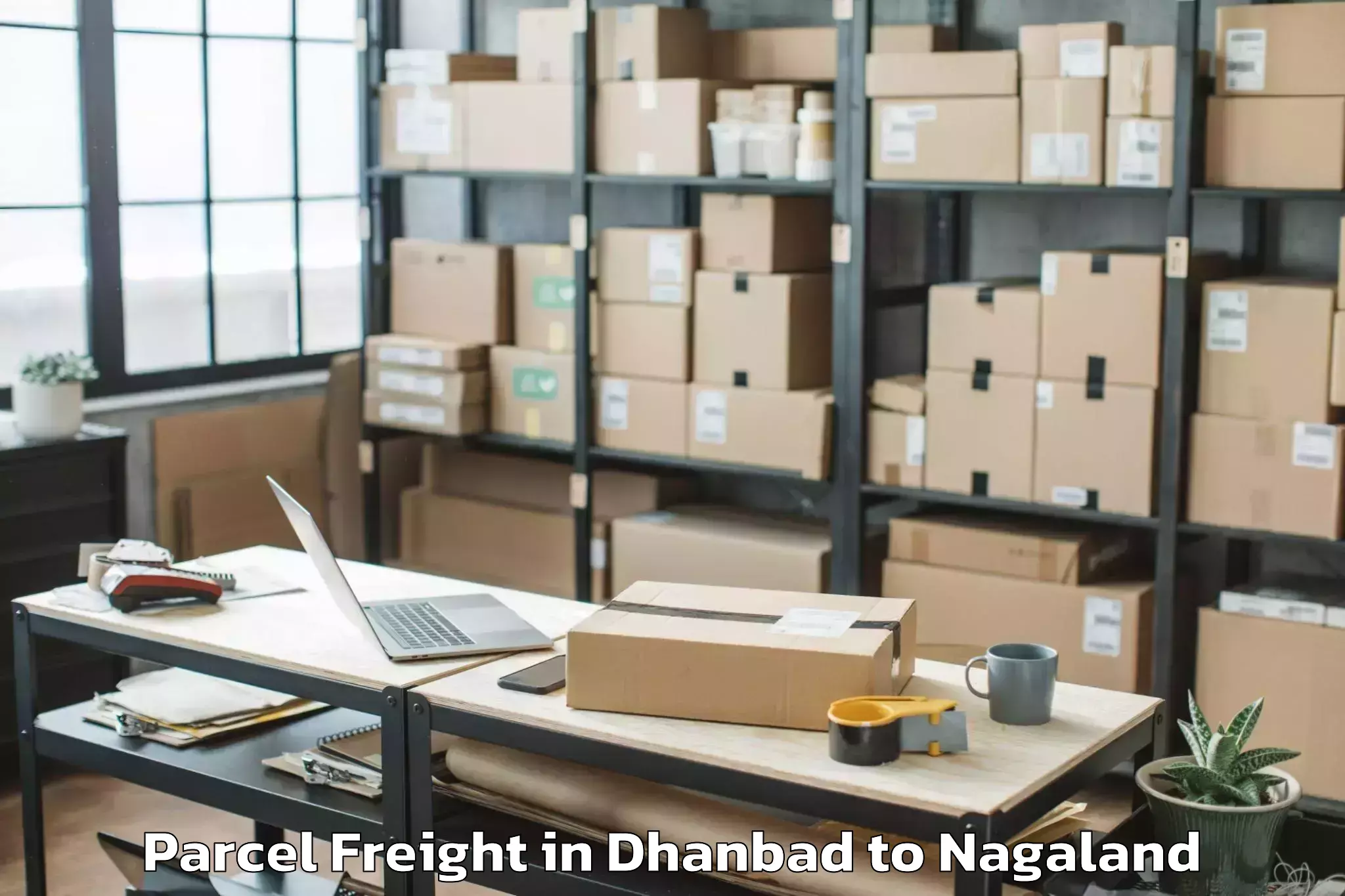 Easy Dhanbad to Sechu Zubza Parcel Freight Booking